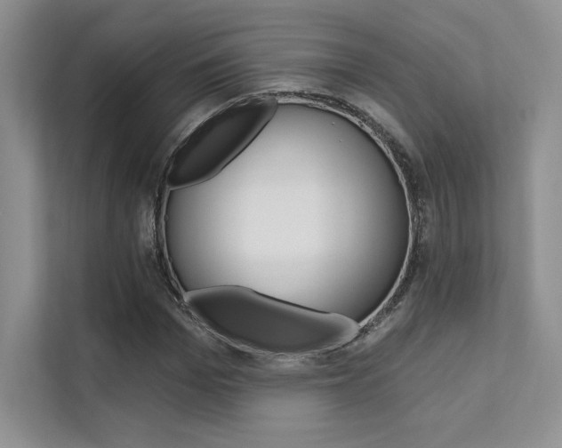 X0000112180969200908070937