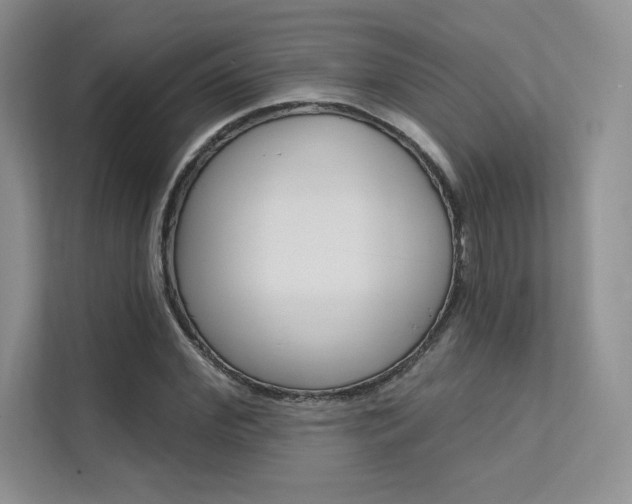 X0000112180972200908070937