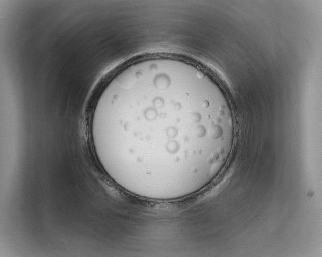 X0000112180974200908070937