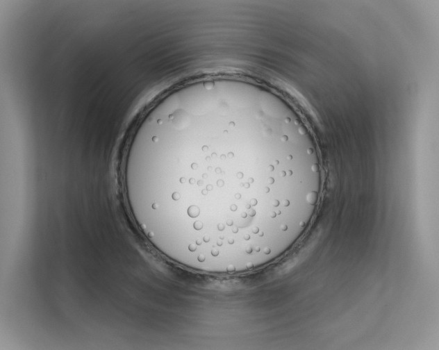 X0000112180978200908070937