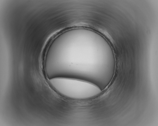 X0000112180979200908070937