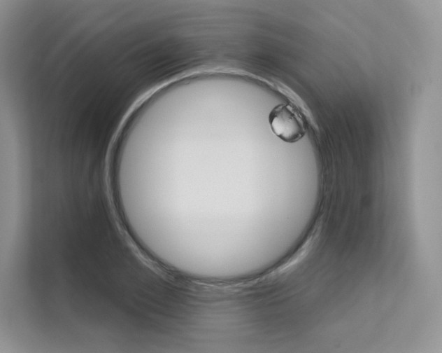 X0000112180981200908070937