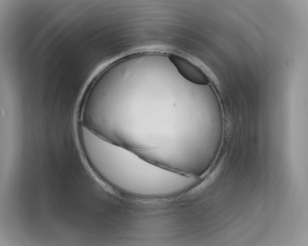 X0000112180989200908070937
