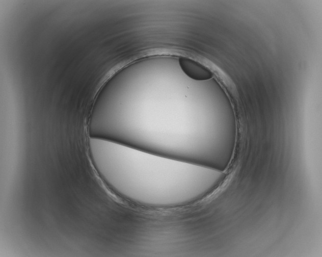 X0000112180993200908070937
