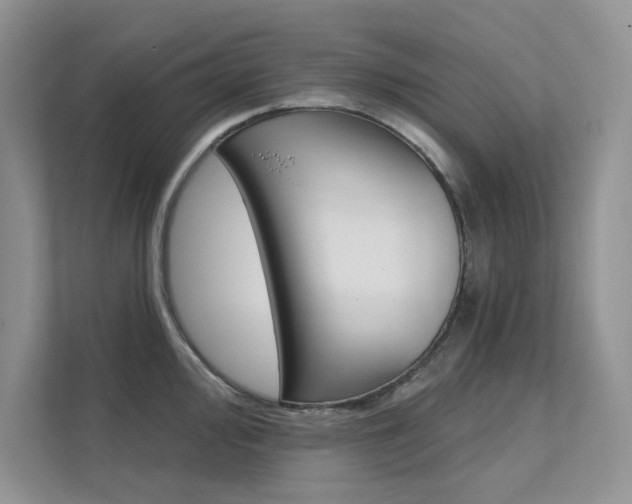 X0000112181000200908070936