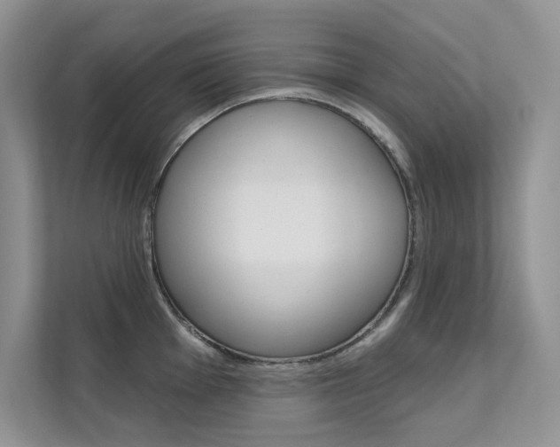 X0000112181001200908070936