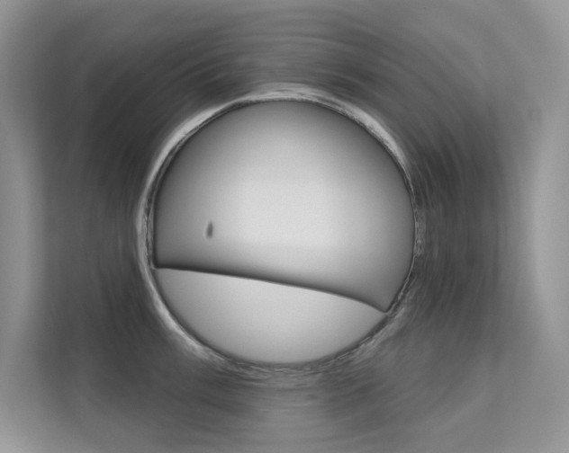 X0000112181003200908070936