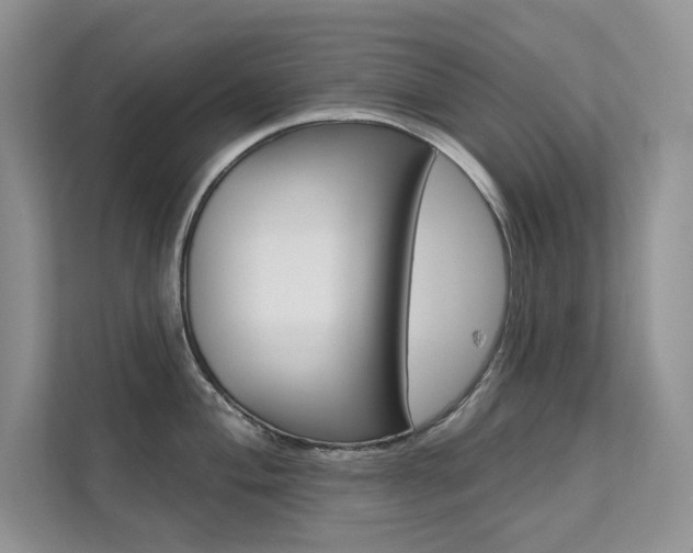 X0000112181004200908070936