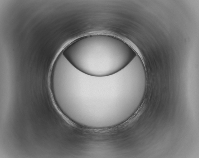 X0000112181005200908070936