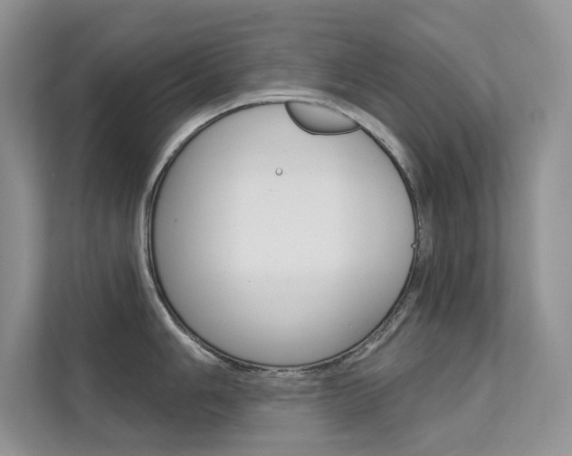 X0000112181006200908070936