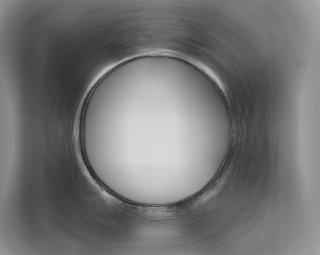 X0000112181007200908070936