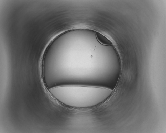 X0000112181008200908070936