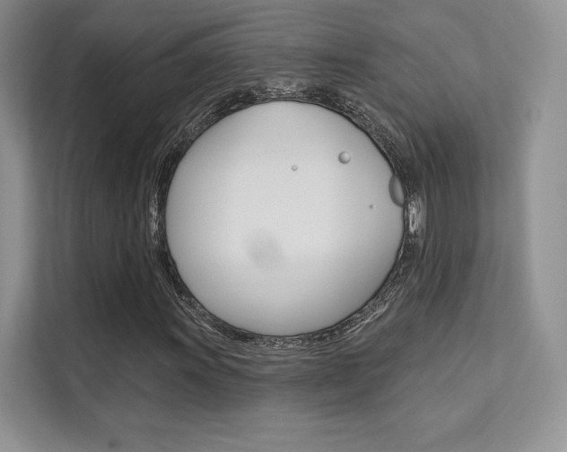 X0000112181011200908070936