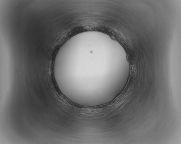 X0000112181012200908070936