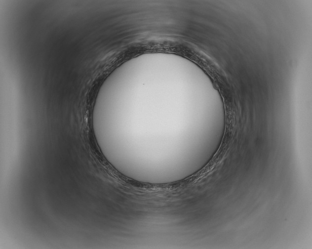 X0000112181013200908070936