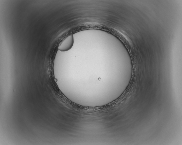 X0000112181015200908070936
