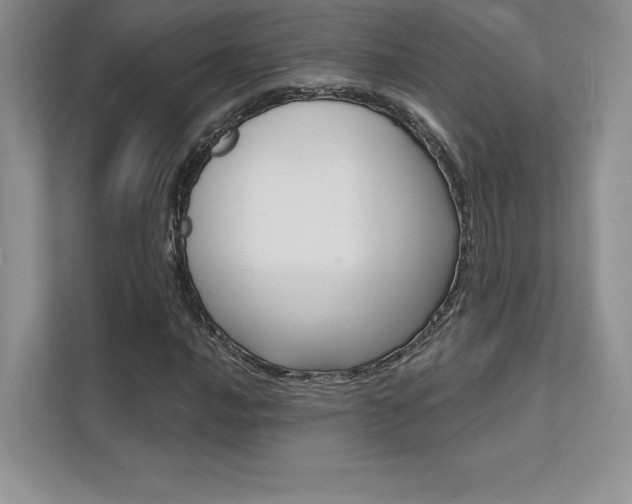 X0000112181016200908070936