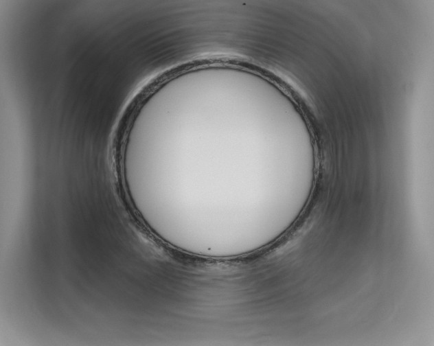 X0000112181022200908070936