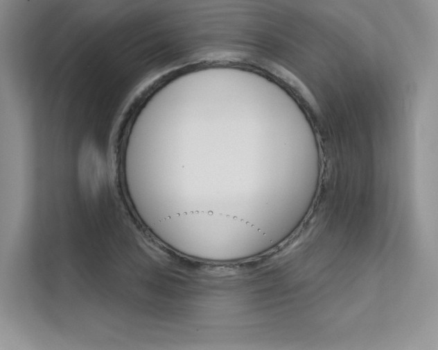 X0000112181027200908070936