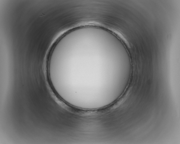 X0000112181038200908070936