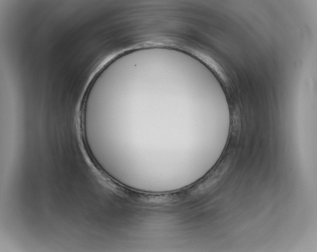X0000112181047200908070936