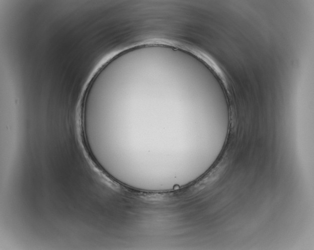 X0000112181048200908070936
