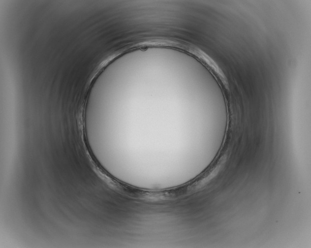 X0000112181049200908070936