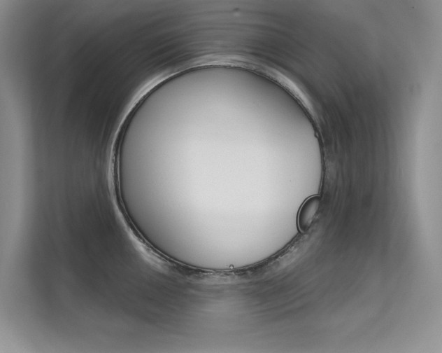 X0000112181050200908070936