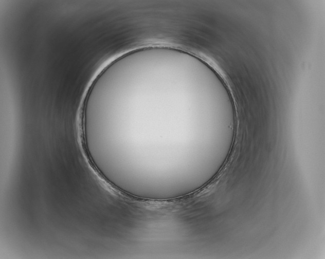 X0000112181056200908070936