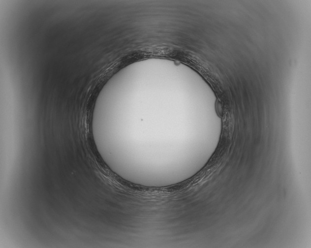 X0000112181058200908070936