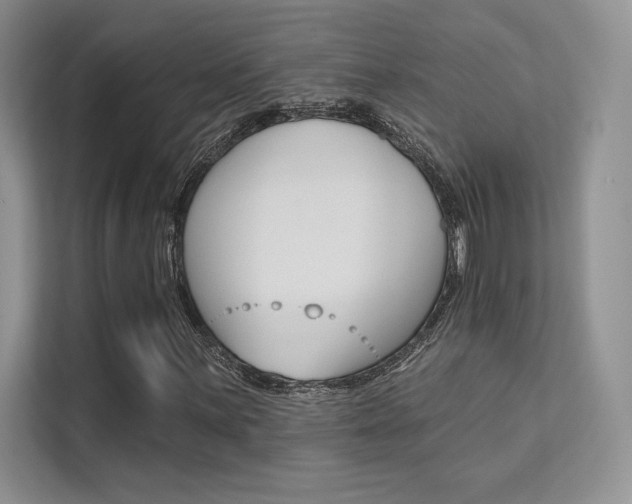 X0000112181059200908070936