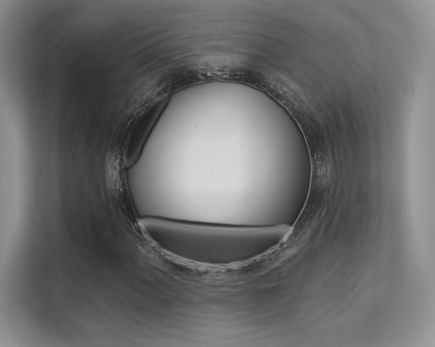 X0000112181060200908070936
