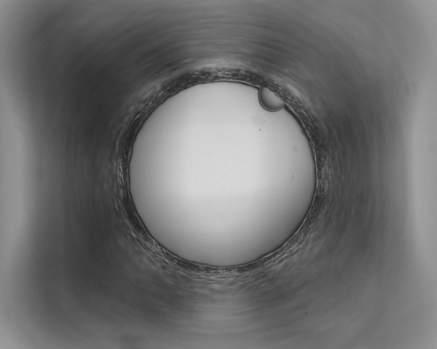 X0000112181062200908070936