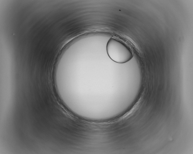 X0000112181065200908070936