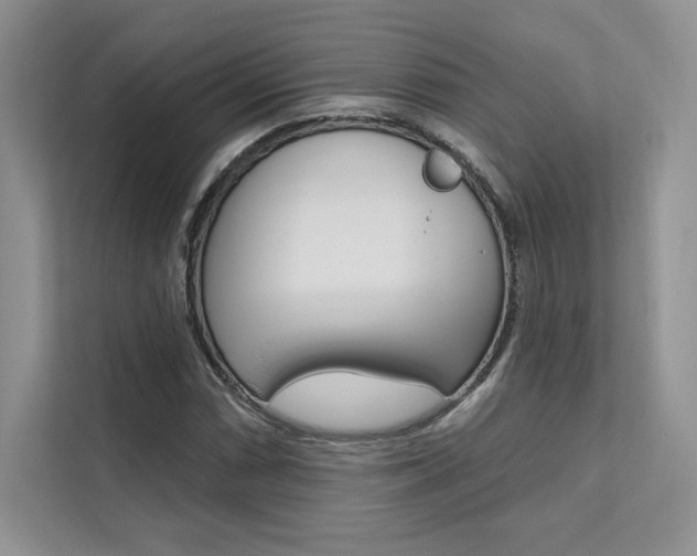 X0000112181066200908070936