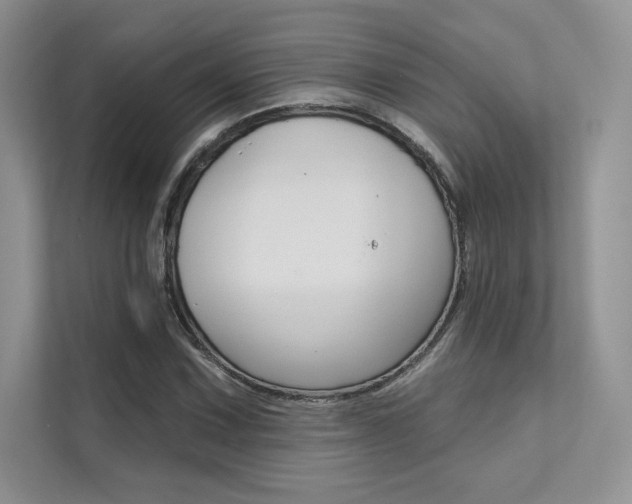 X0000112181067200908070936