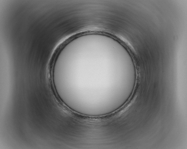 X0000112181070200908070935