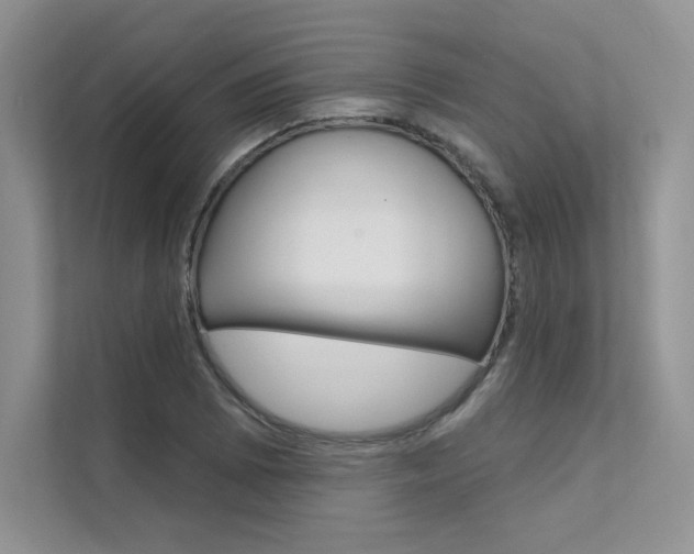 X0000112181073200908070935