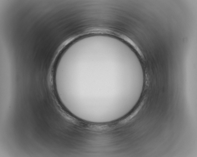 X0000112181074200908070935