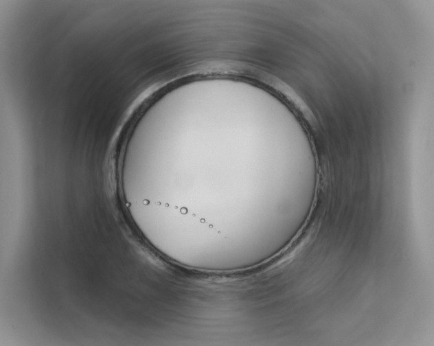 X0000112181075200908070935