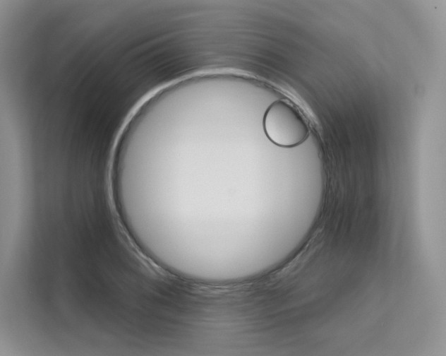 X0000112181076200908070935