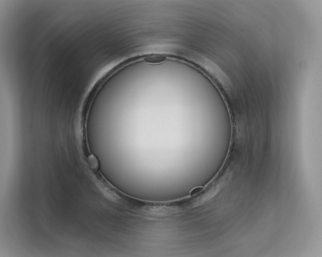 X0000112181077200908070935