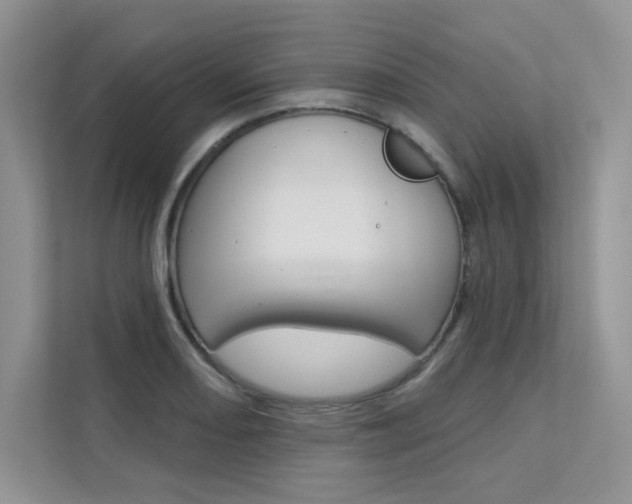 X0000112181082200908070935