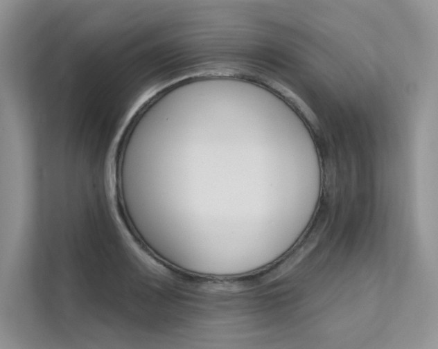 X0000112181083200908070935