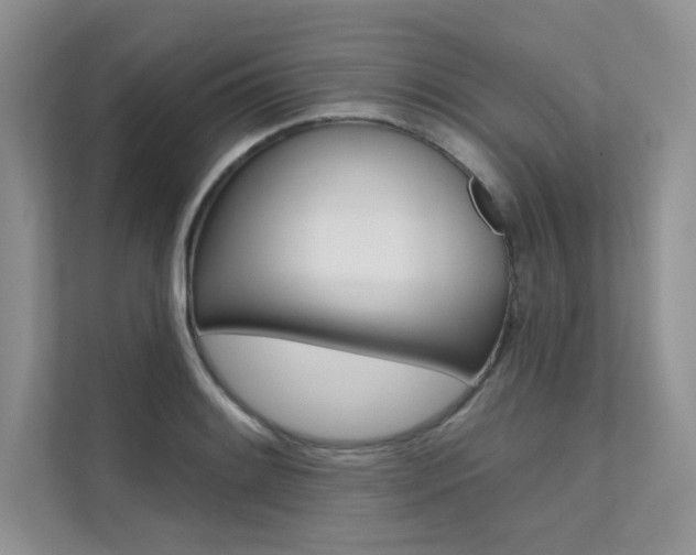 X0000112181084200908070935