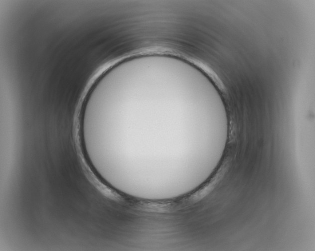 X0000112181086200908070935