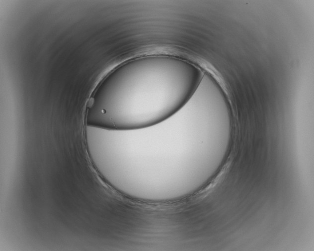 X0000112181089200908070935
