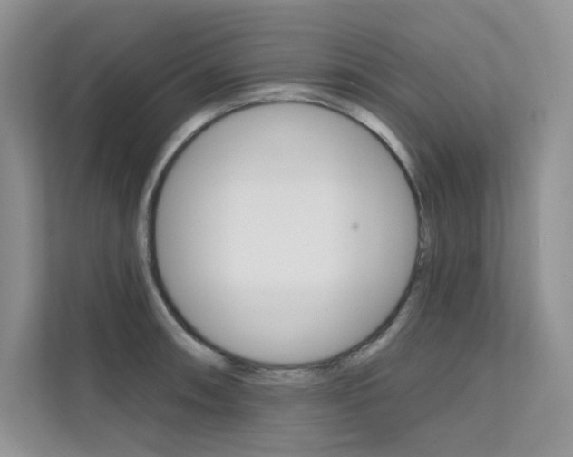 X0000112181090200908070935