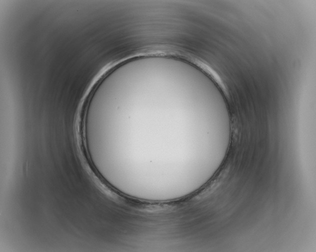 X0000112181091200908070935
