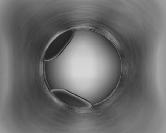 X0000112181092200908070935